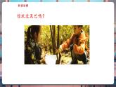 【核心素養(yǎng)優(yōu)質(zhì)課】蘇教版一年級(jí)下冊(cè)科學(xué)1.3《捏泥巴》（教學(xué)課件+同步教案含反思）