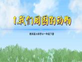（2025新版）2-1-我們周圍的動物-教科版科學(xué)一年級下冊（最新版）課件