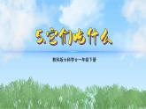 （2025新版）2-5-它們吃什么-教科版科學(xué)一年級(jí)下冊(cè)（最新版）課件