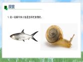 （2025新版）2-5-它們吃什么-教科版科學(xué)一年級(jí)下冊(cè)（最新版）課件