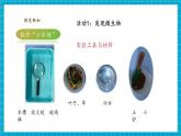 【核心素养优质课】苏教版科学五年级下册1.2《微小的生命体》教学课件+同步教案+大单元教学设计+素材