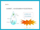 【核心素養(yǎng)優(yōu)質(zhì)課】蘇教版科學五年級下冊1.3《發(fā)霉與防霉》教學課件+同步教案+大單元教學設(shè)計+素材