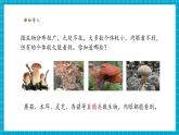 【核心素養(yǎng)優(yōu)質(zhì)課】蘇教版科學五年級下冊1.3《發(fā)霉與防霉》教學課件+同步教案+大單元教學設(shè)計+素材