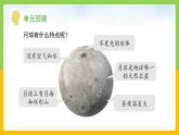 教科版科學(xué)三下 3.8 《太陽、月球和地球》課件+教學(xué)設(shè)計(jì)（教學(xué)反思）+素材