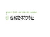 小學(xué)科學(xué)新教科版一年級下冊第一單元第一課《觀察物體的特征》教學(xué)課件（2025春）