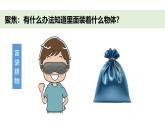 小學(xué)科學(xué)新教科版一年級下冊第一單元第一課《觀察物體的特征》教學(xué)課件（2025春）