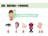 小學(xué)科學(xué)新教科版一年級下冊第一單元第一課《觀察物體的特征》教學(xué)課件（2025春）