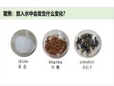 小學(xué)科學(xué)新教科版一年級下冊第一單元第七課《它們?nèi)ツ睦锪恕方虒W(xué)課件（2025春）