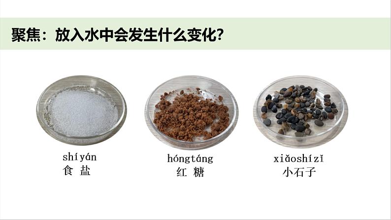 小学科学新教科版一年级下册第一单元第七课《它们去哪里了》教学课件（2025春）第2页