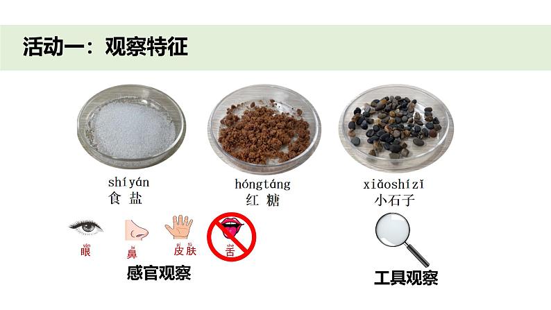 小学科学新教科版一年级下册第一单元第七课《它们去哪里了》教学课件（2025春）第3页