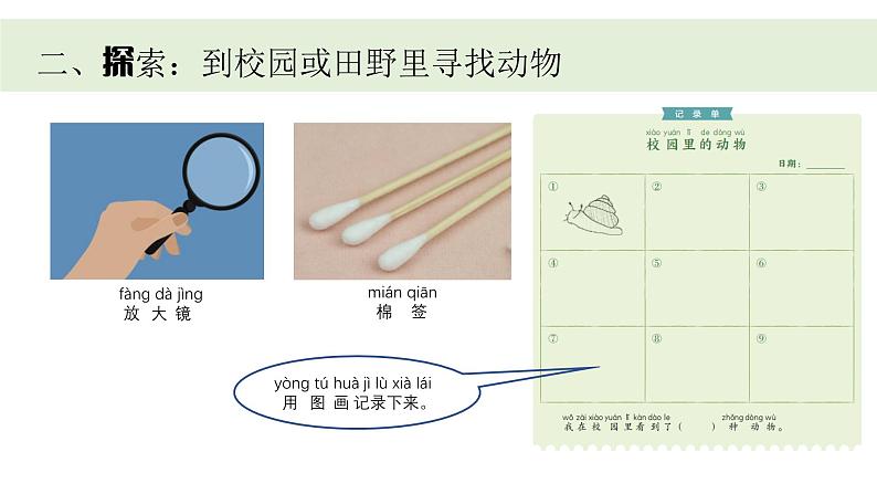 小学科学新教科版一年级下册第二单元第一课《我们周围的动物》教学课件（2025春）第4页