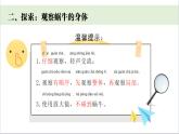 小學(xué)科學(xué)新教科版一年級(jí)下冊(cè)第二單元第二課《觀察一種動(dòng)物》教學(xué)課件（2025春）