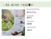 小學(xué)科學(xué)新教科版一年級(jí)下冊(cè)第二單元第三課《給蝸牛建個(gè)“家”》教學(xué)課件（2025春）