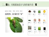 小學(xué)科學(xué)新教科版一年級(jí)下冊(cè)第二單元第三課《給蝸牛建個(gè)“家”》教學(xué)課件（2025春）