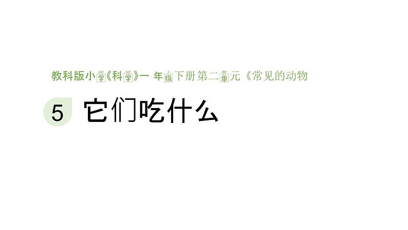 小学科学新教科版一年级下册第二单元第五课《它们吃什么》教学课件（2025春）第1页