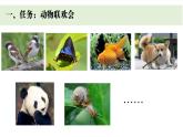 小學(xué)科學(xué)新教科版一年級下冊第二單元第六課《動物聯(lián)歡會》教學(xué)課件（2025春）