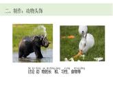 小學(xué)科學(xué)新教科版一年級下冊第二單元第六課《動物聯(lián)歡會》教學(xué)課件（2025春）