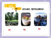 【核心素养】苏教版科学一年级下册 1.1 捡石头 同步课件+同步教案