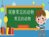 【核心素養(yǎng)】大象版小學(xué)科學(xué)一年級上冊     2.常見的動物   課件ppt+ 教案