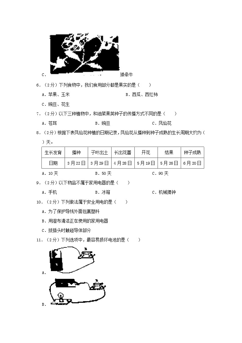 2022-2023学年湖南省怀化市芷江县四年级下学期期末科学真题及答案第2页