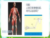 沪教版科学三下1《运动与呼吸》课件