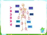 沪教版科学三下1《运动与呼吸》课件