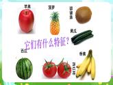 沪教版科学三下2《花、果实与种子》课件