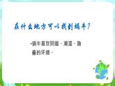 沪教版科学三下3《饲养蜗牛》课件