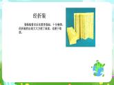 沪教版科学三下4《厨房中的学问》课件
