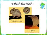沪教版科学五下1《自然的启示》课件