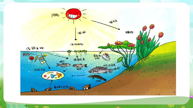 沪教版科学五下2《小瓶“大世界”》课件第6页