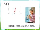 沪教版科学五下3《大眼睛看小世界》课件