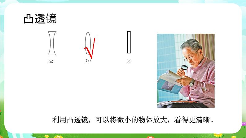 沪教版科学五下3《大眼睛看小世界》课件第2页