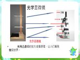 沪教版科学五下3《大眼睛看小世界》课件