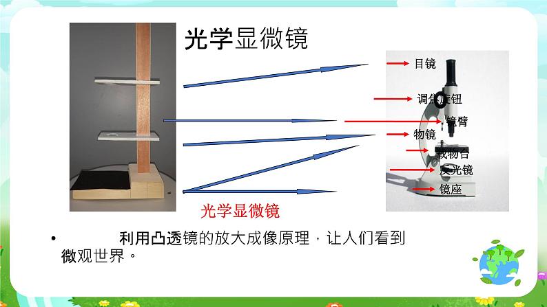 沪教版科学五下3《大眼睛看小世界》课件第4页