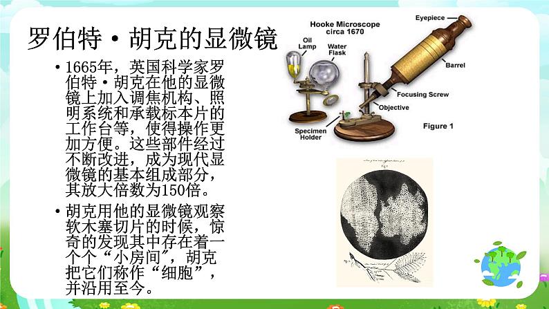 沪教版科学五下3《大眼睛看小世界》课件第8页