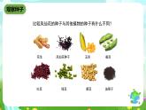 鄂教版科学三下1《播种发芽》课件
