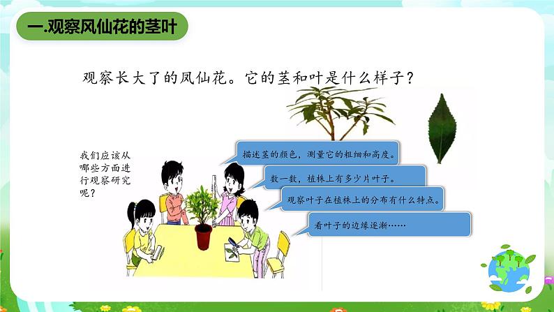 鄂教版科学三下2《茎叶的生长》课件第2页