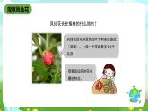鄂教版科学三下3《开花了》课件