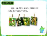 鄂教版科学三下4《结果了》课件