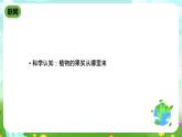 鄂教版科学三下4《结果了》课件