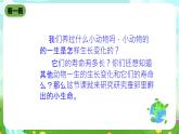 鄂教版科学三下6《蚕宝宝出生了》课件