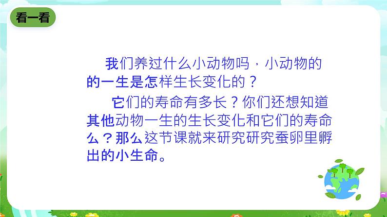 鄂教版科学三下6《蚕宝宝出生了》课件第2页