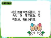 鄂教版科学三下7《可爱的蚕宝宝》课件