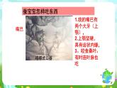 鄂教版科学三下7《可爱的蚕宝宝》课件