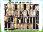 鄂教版科学三下8《蚕变了新模样》课件