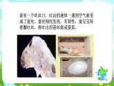 鄂教版科学三下8《蚕变了新模样》课件
