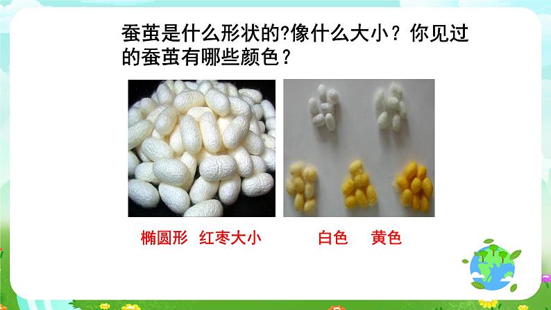 鄂教版科学三下8《蚕变了新模样》课件第7页