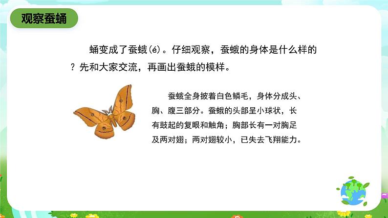 鄂教版科学三下9《蚕蛹变成了什么》课件第3页