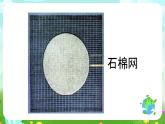 鄂教版科学三下13《怎样让衣服干得快》课件